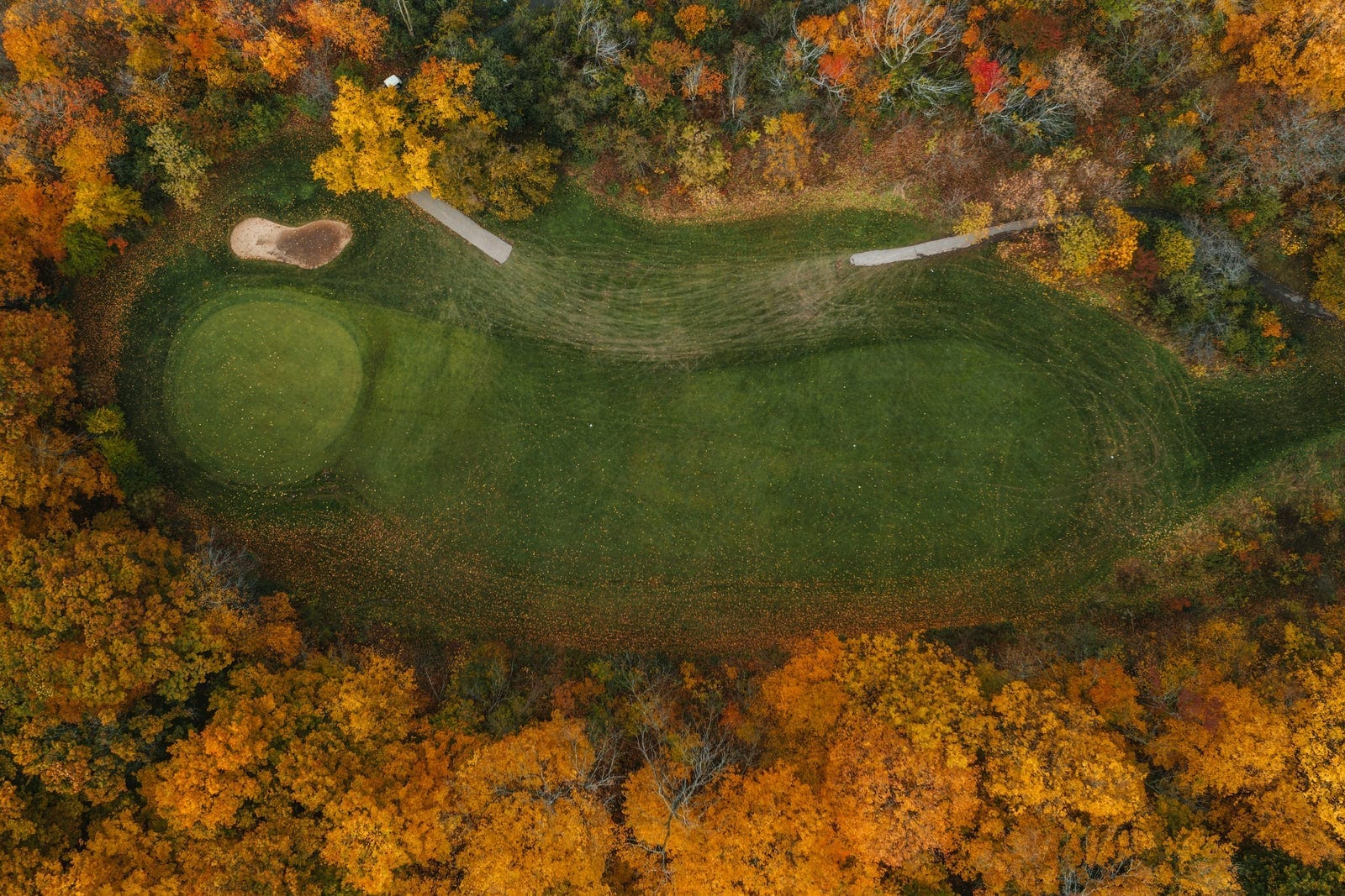 An outdoor golf hole surrounded by yellow autumn trees